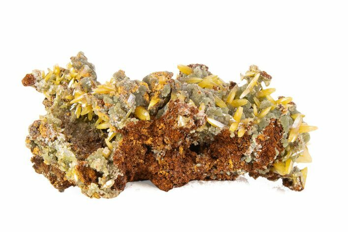 Wulfenite & Green Botryoidal Mimetite Association - Mexico #372084